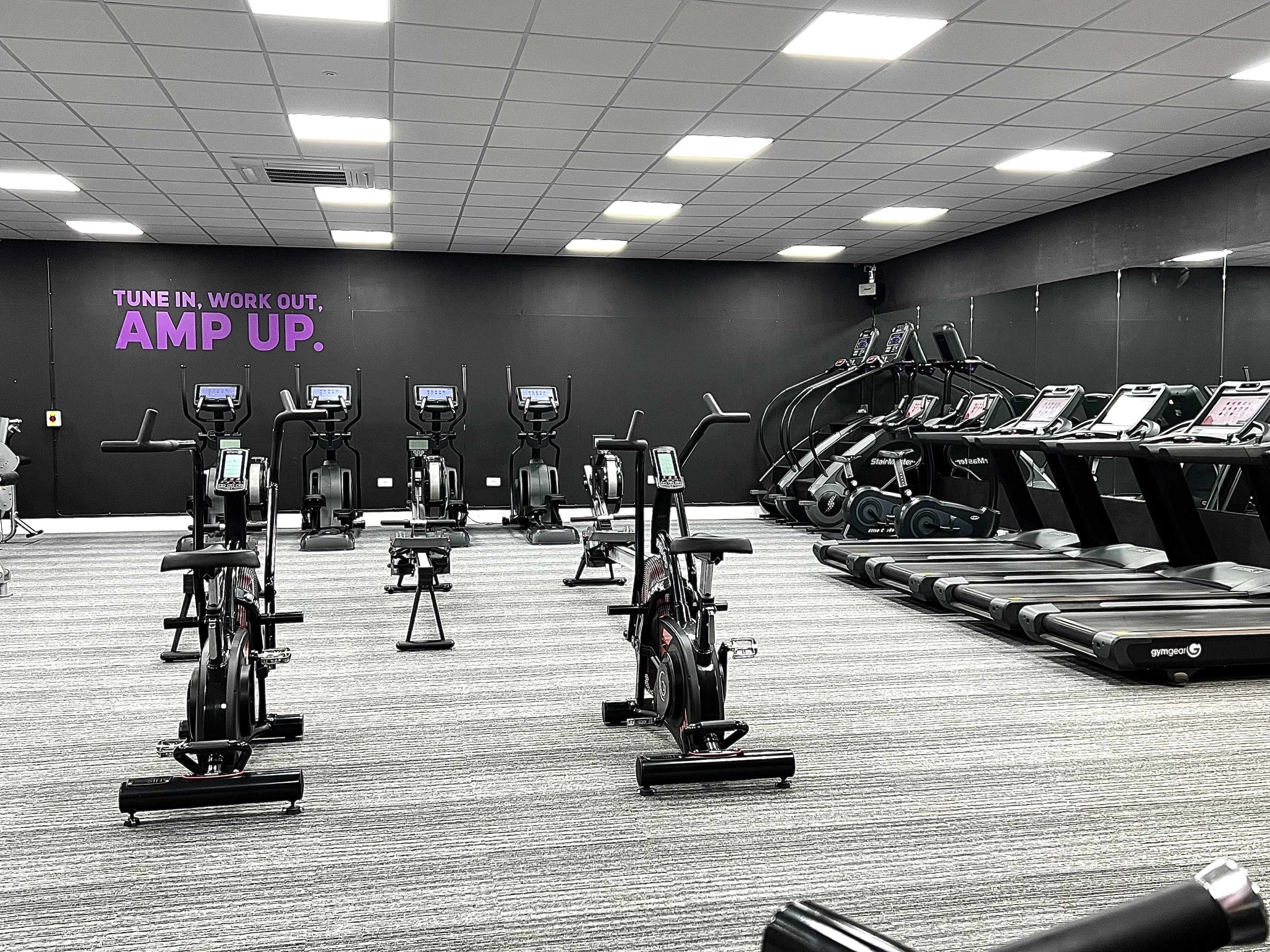 Amped Fitness Brandon