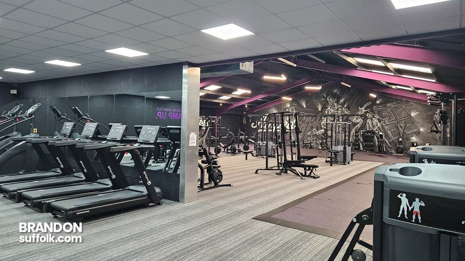 Amped Fitness Brandon