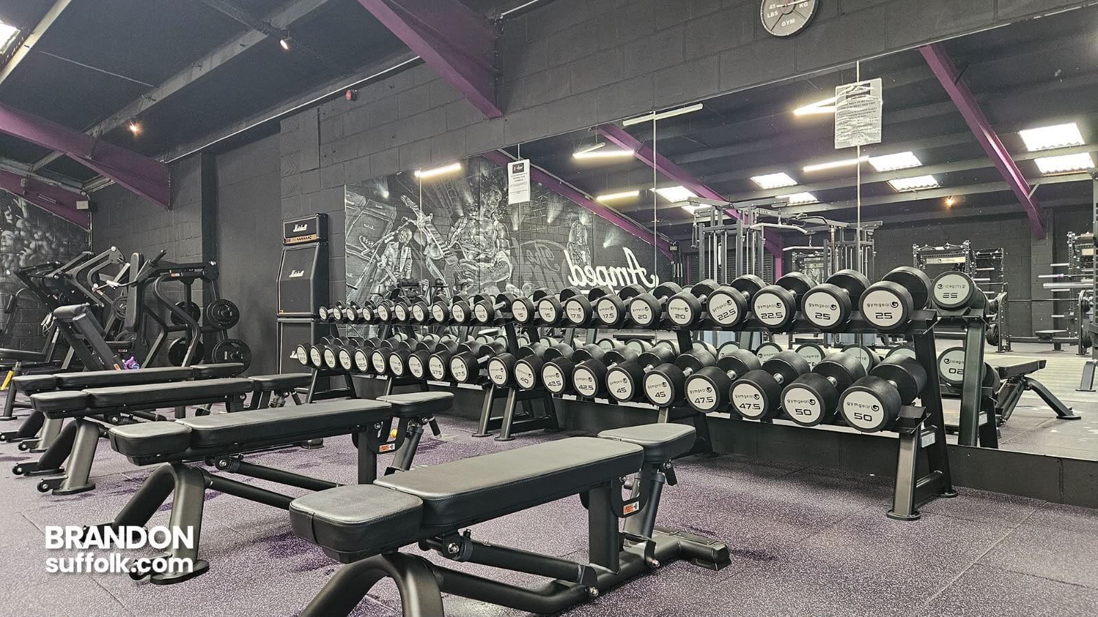 Amped Fitness Brandon
