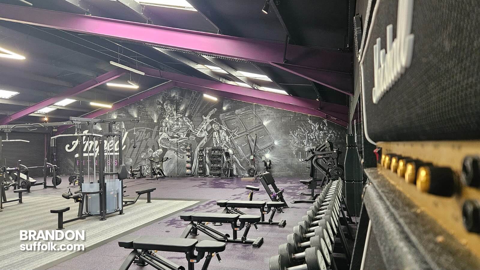 Amped Fitness Brandon